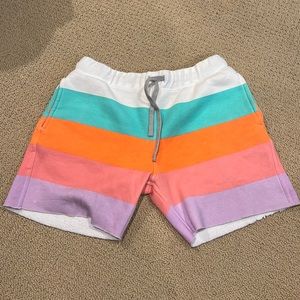 Chubbies sweat shorts